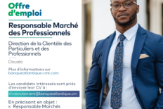 Responsable Marché des Professionnels